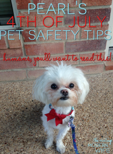 Hey humans! I hijacked my mommy's blog to bring you my 4th of July Pet Safety Tips! Read them, follow them, and pin them!