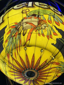 Need a family friendly activity while you're in Branson? Don't miss Parakeet Pete's for their Waterfront Zipline and Steampunk Hot Air Balloon! #explorebranson