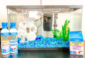 Looking to get the ultimate freshwater aquarium tips for kids and families? Look no further for your starter aquarium!
