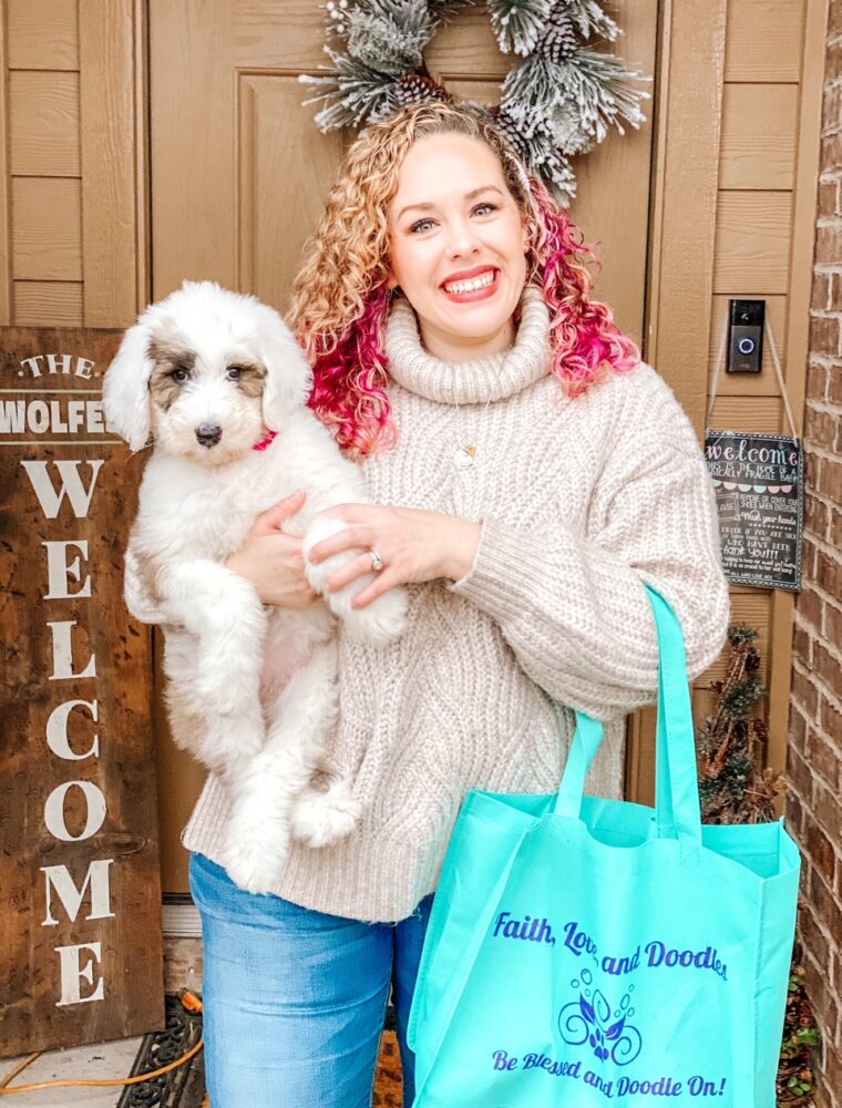 Trying to choose the best family dog? These tips are so helpful and really help narrow it down!