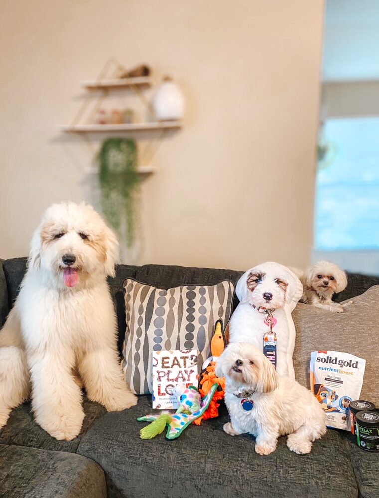 #ad Looking for some paw-some dog gifts? These are so much fun and gifts that every dog and owner will love! #BestForPetsBBxx #Petsies #petgifts #grufflove #eatplaylove #multipet #dog #Instadog #Pets #dogtoy #dogsofinstagram #SolidGoldPet