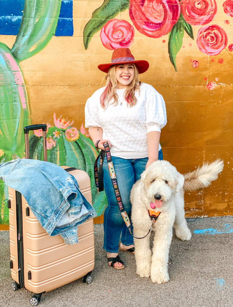 Looking for an affordable place to travel with your pet? Red Roof luvs pets and is a great option for pet owners!